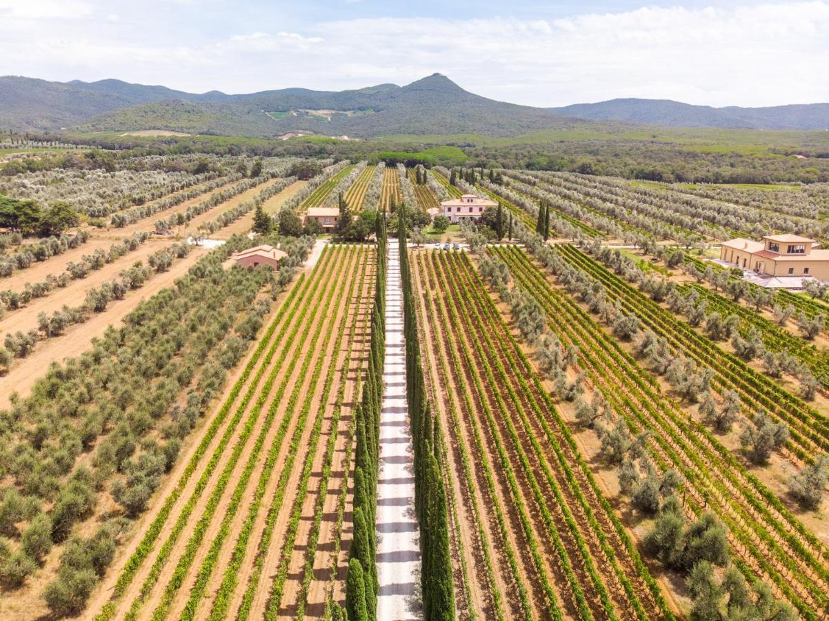 Agriturismo Tra Gli Ulivi, Chiappini Winery โบลเกริ ภายนอก รูปภาพ