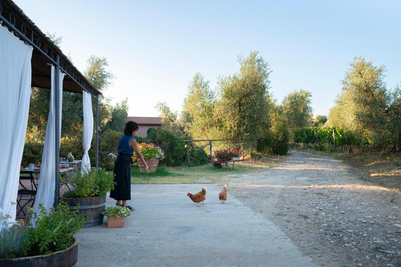 Agriturismo Tra Gli Ulivi, Chiappini Winery โบลเกริ ภายนอก รูปภาพ
