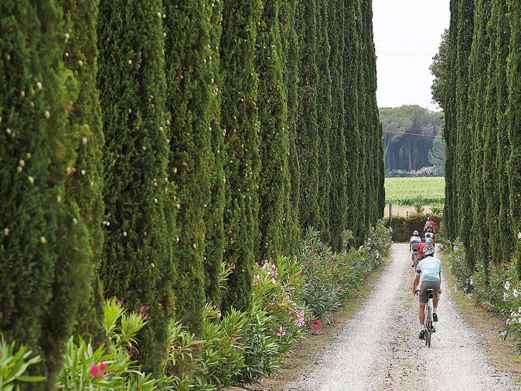 Agriturismo Tra Gli Ulivi, Chiappini Winery โบลเกริ ภายนอก รูปภาพ