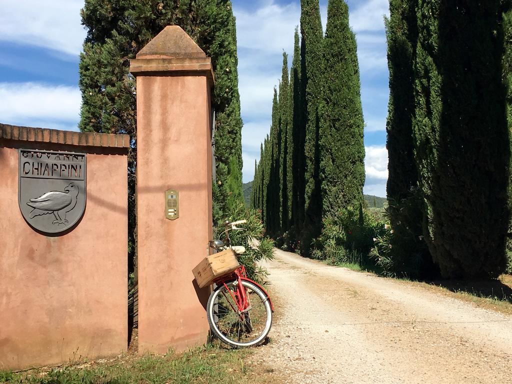 Agriturismo Tra Gli Ulivi, Chiappini Winery โบลเกริ ภายนอก รูปภาพ