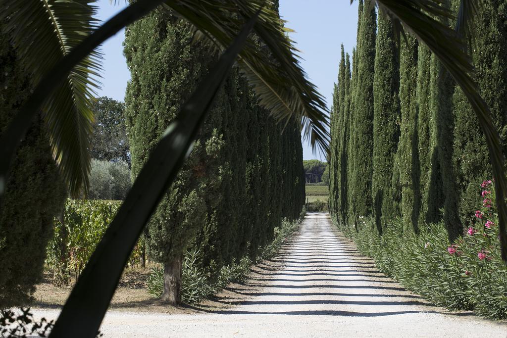 Agriturismo Tra Gli Ulivi, Chiappini Winery โบลเกริ ภายนอก รูปภาพ