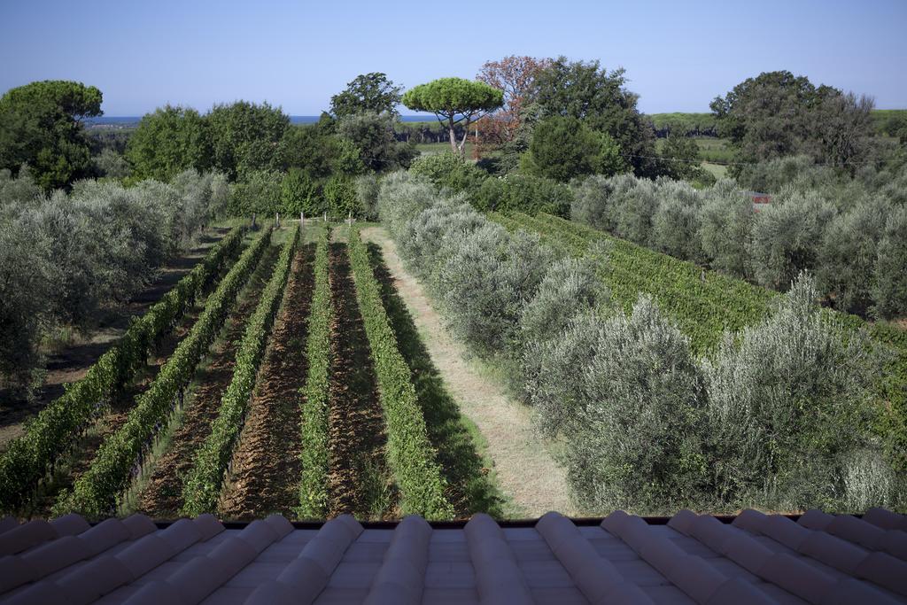 Agriturismo Tra Gli Ulivi, Chiappini Winery โบลเกริ ภายนอก รูปภาพ