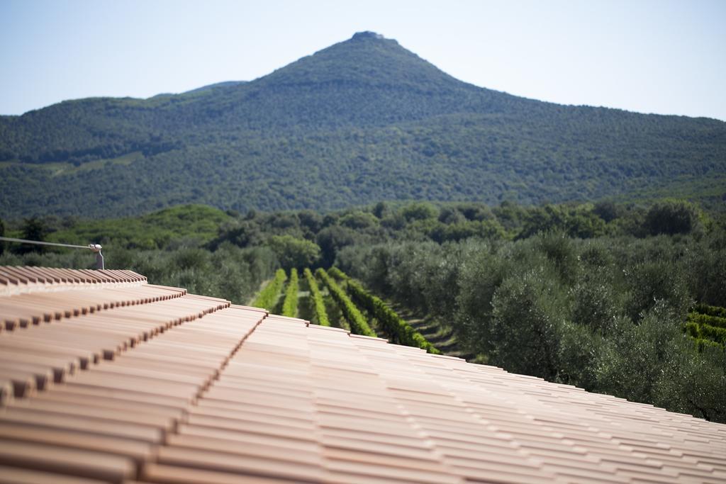Agriturismo Tra Gli Ulivi, Chiappini Winery โบลเกริ ภายนอก รูปภาพ
